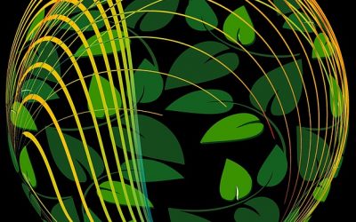 Prérogatives environnementales : nouvelle compétence des CSE