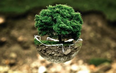 La transition écologique et le dialogue social en entreprise : vers un avenir durable